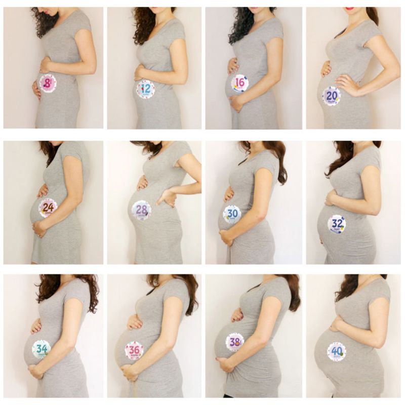 14 14 Pcs/Set Month Sticker Pregnant Women Photography Monthly Adhesive Stickers Landmark Floral Coming Soon Belly Clothing