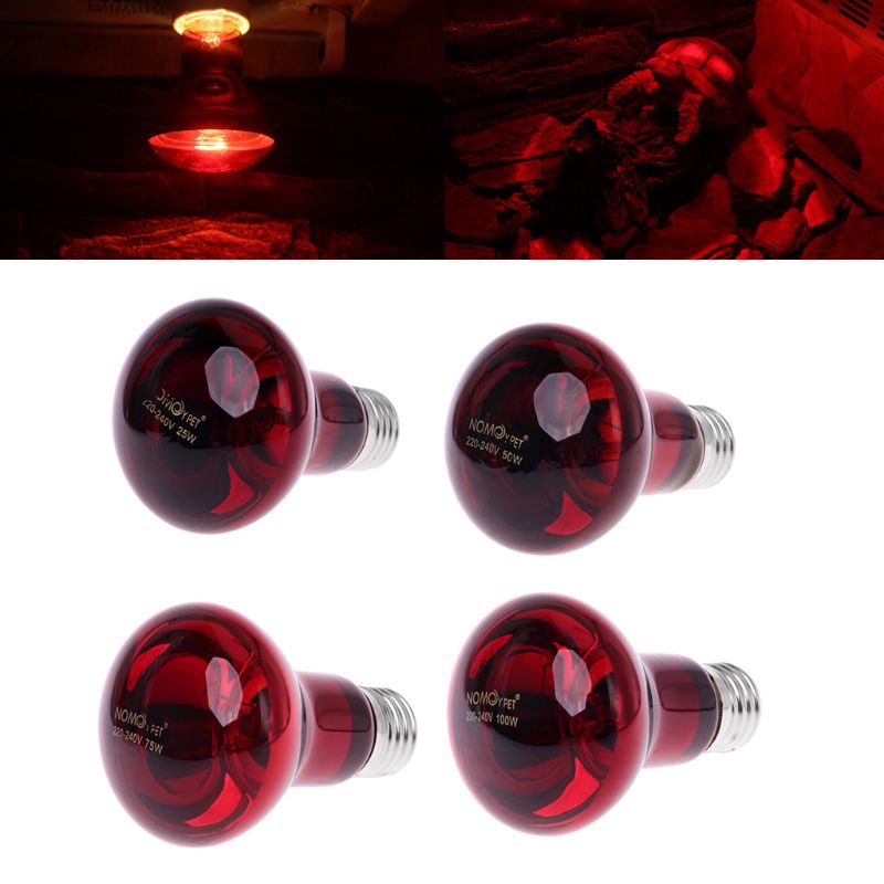 Reptile Amphibian Infrared Heat Bulb Uva Glass Daylight Moonlight Basking Spot