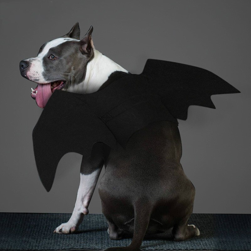 Schattige Huisdier Kleding Black Bat Wings Harnas Kostuum Voor Halloween Cosplay Kat Hond Halloween Party Voor Dierbenodigdheden