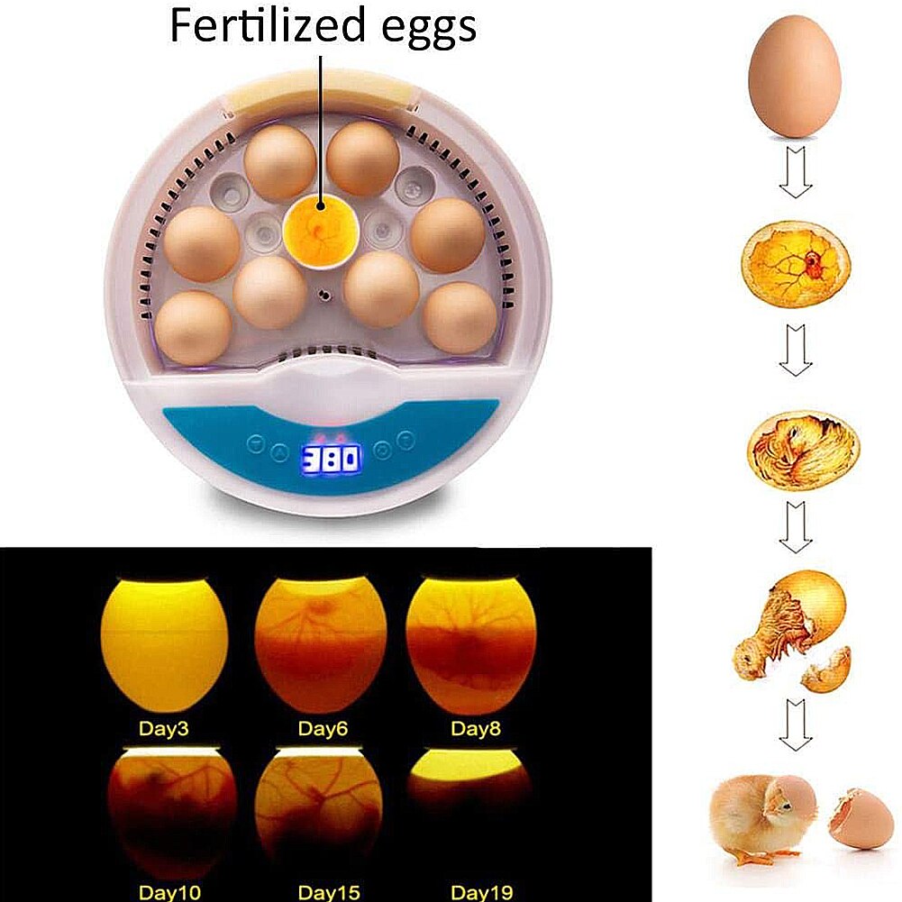 Newst Volautomatische Led Incubator 9egg Temperatuur Vochtigheid Kip Incubator Boerderij Broederij Machine Accessoires Voor Vogel Kwartel