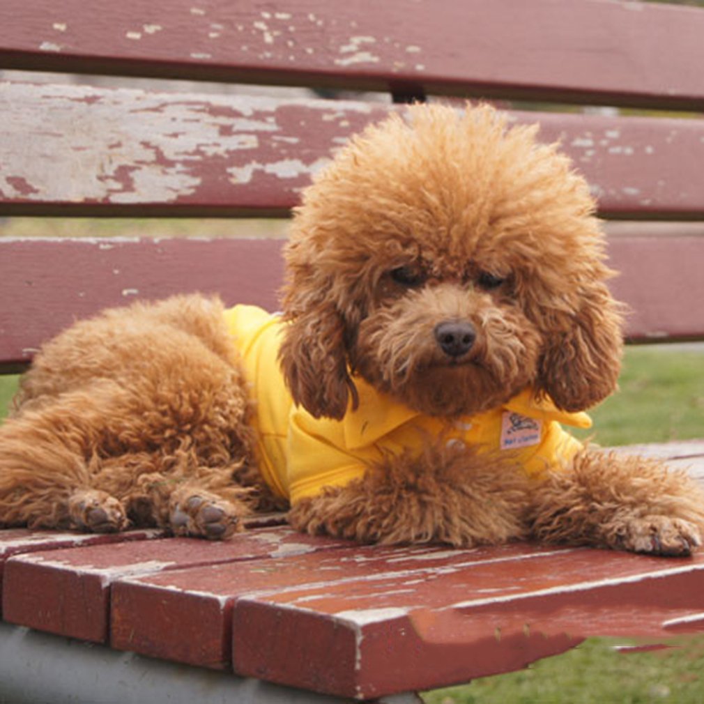 Modieuze Mooie Lente en Zomer Kleding Teddy Hond POLP Shirt Dierbenodigdheden Voor Honden Katten