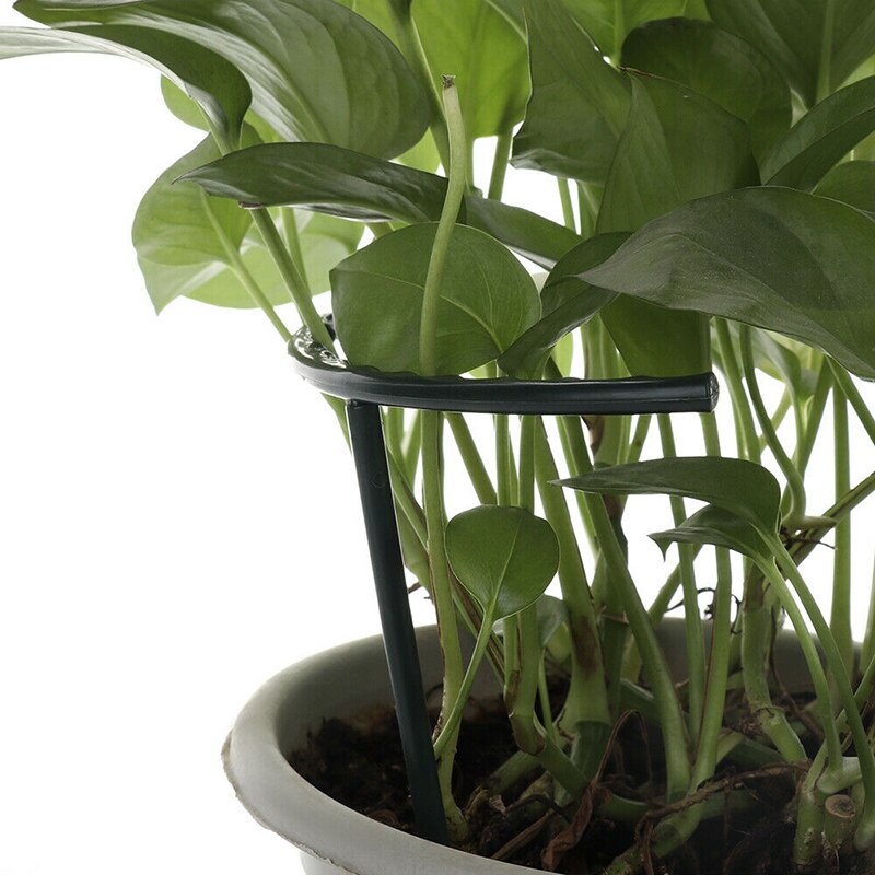 6 pçs plástico planta suporte estacas semicircular suporte proteger titular diy frame @ ls