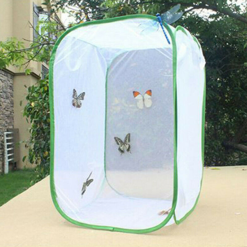 Foldable Habitat Insect Cage Mesh Transparent Surface Portable Zipper