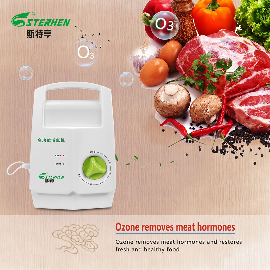 sterhen ozone generator 220v O3 Timer Air Purifiers ozone purifier Vegetable washing machine Kill bacteria in water