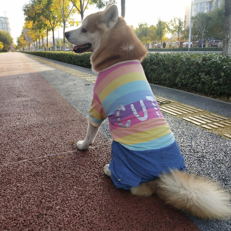Spring Summer Big Dog Clothes Jumpsuit Large Dog Clothing Outfit Corgi Japanese Akita Samoyed Husky Golden Retriever Costumes: 4XL
