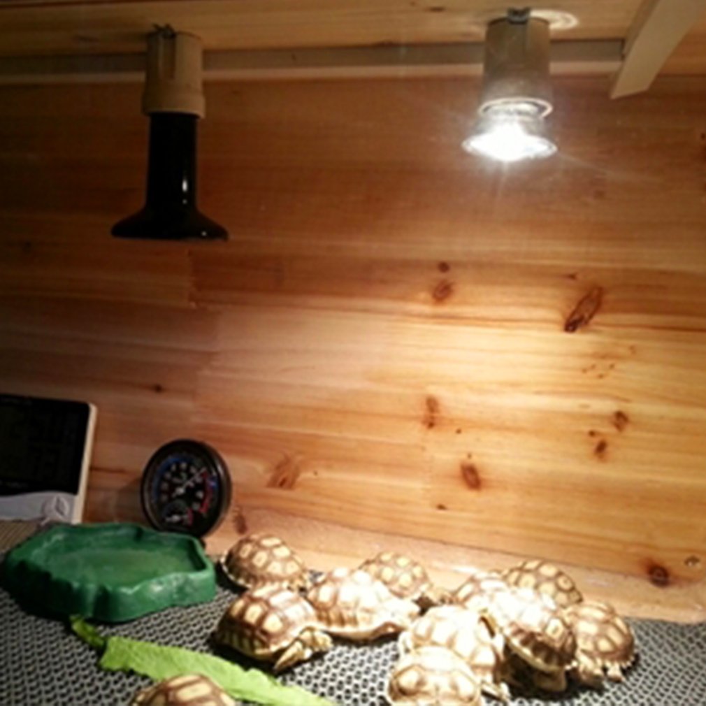 110V-130V Mini Infrared Ceramic Socket E27 Base Appliance Lamp Natural Glow Heater Emitter Reptile Heat Light Pet Brooder Bulb