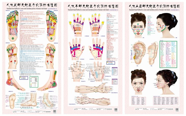 Standard fodreflekterende zoner og meridianpunkter på menneskelige vægkort, fodmassage: Hånd fod ansigt et sæt