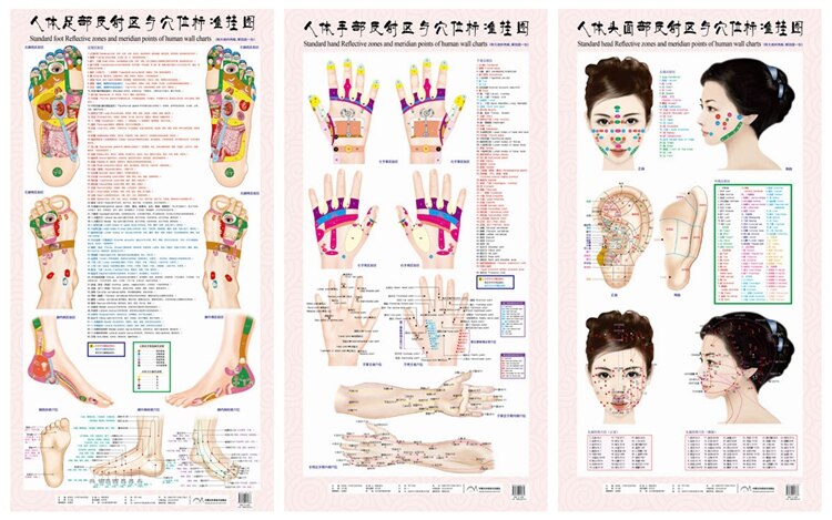 Standaard Voet Reflecterende Zones En Meridiaan Punten Van Menselijk Wandplaten, Voet Massage: Hand foot face A set