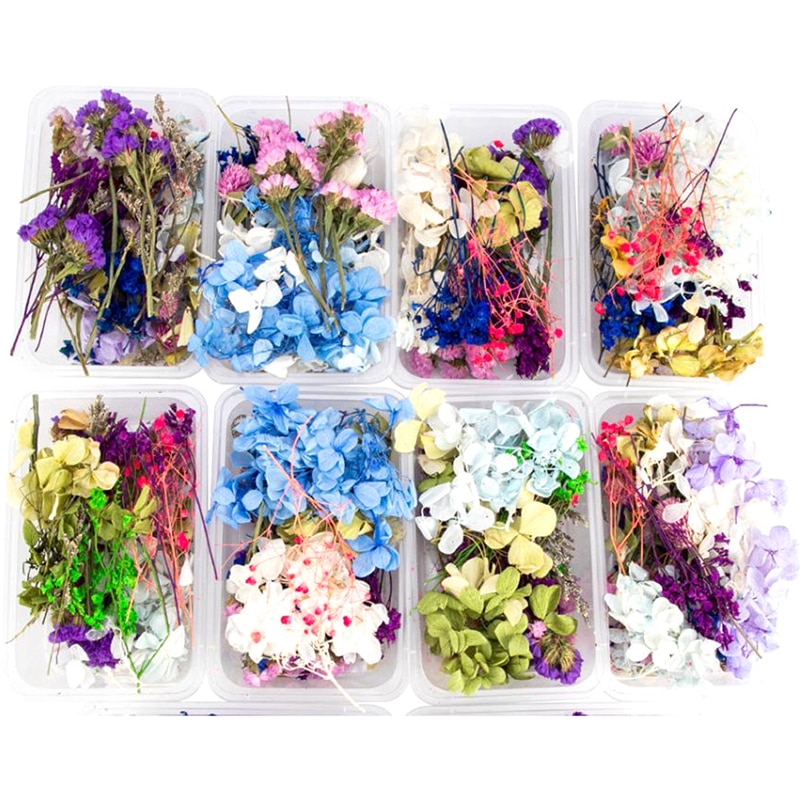 1 Box Getrocknete Blumen UV Harz Füllung Natürliche Gepresste Blume Kunst Blumen Dekore Epoxy Harz Form Schmuck Dekorative Zufällige Farbe: STHG063