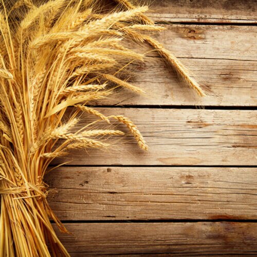 Retro Wood Plank Board Photo Backdrop Photography Studio Background Cloth Screen: 7