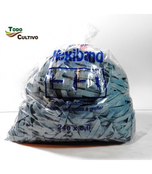 Bandes élastiques à greffer Flexiband 240x6. 1Kg.