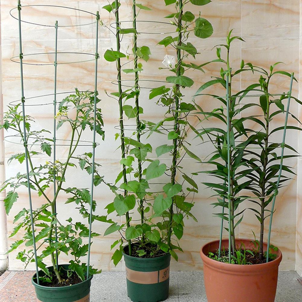 Holdbar klatreplante støtte bur hage espalier blomst tomat stativ med 3 ringer hagearbeid tomat bur klatrestativ