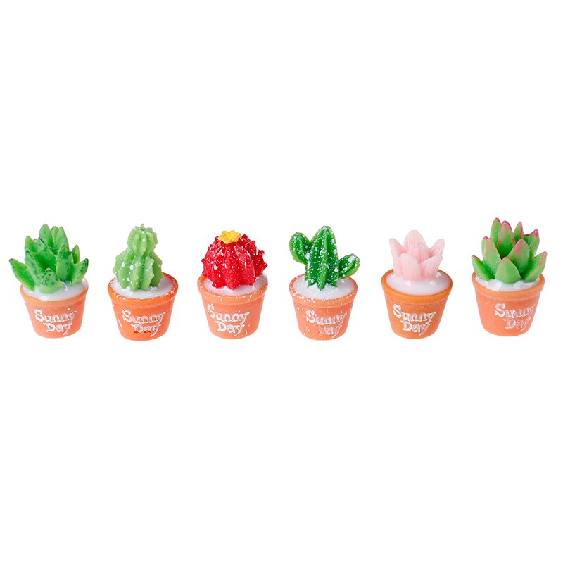 5Stck DIY Kleine Ornamente Spielzeug Mikro-Landschaft Harz Kaktus Gartenbau Bonsai
