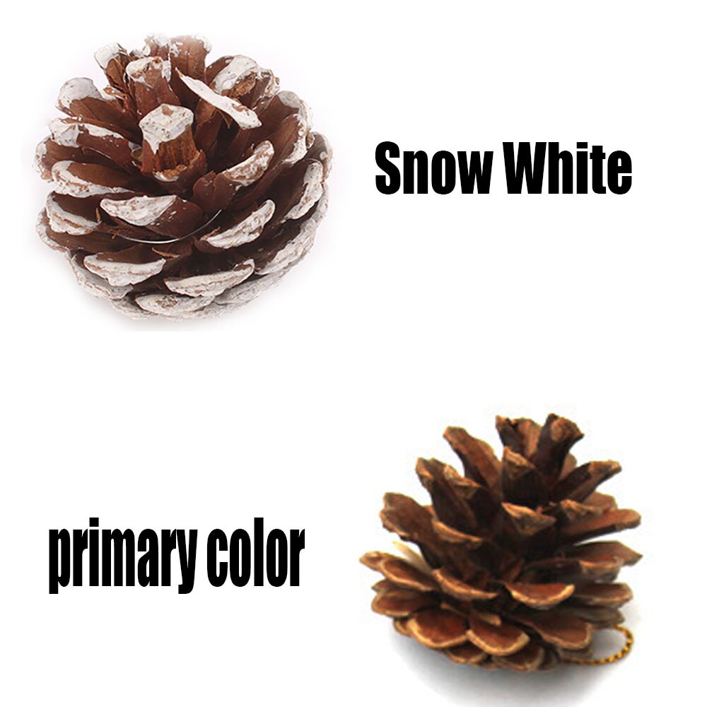 Dennenappels Voor Ambachten 20 Stks Kerst Natuurlijke Pine Kegels Sneeuw Getipt Natuurlijke