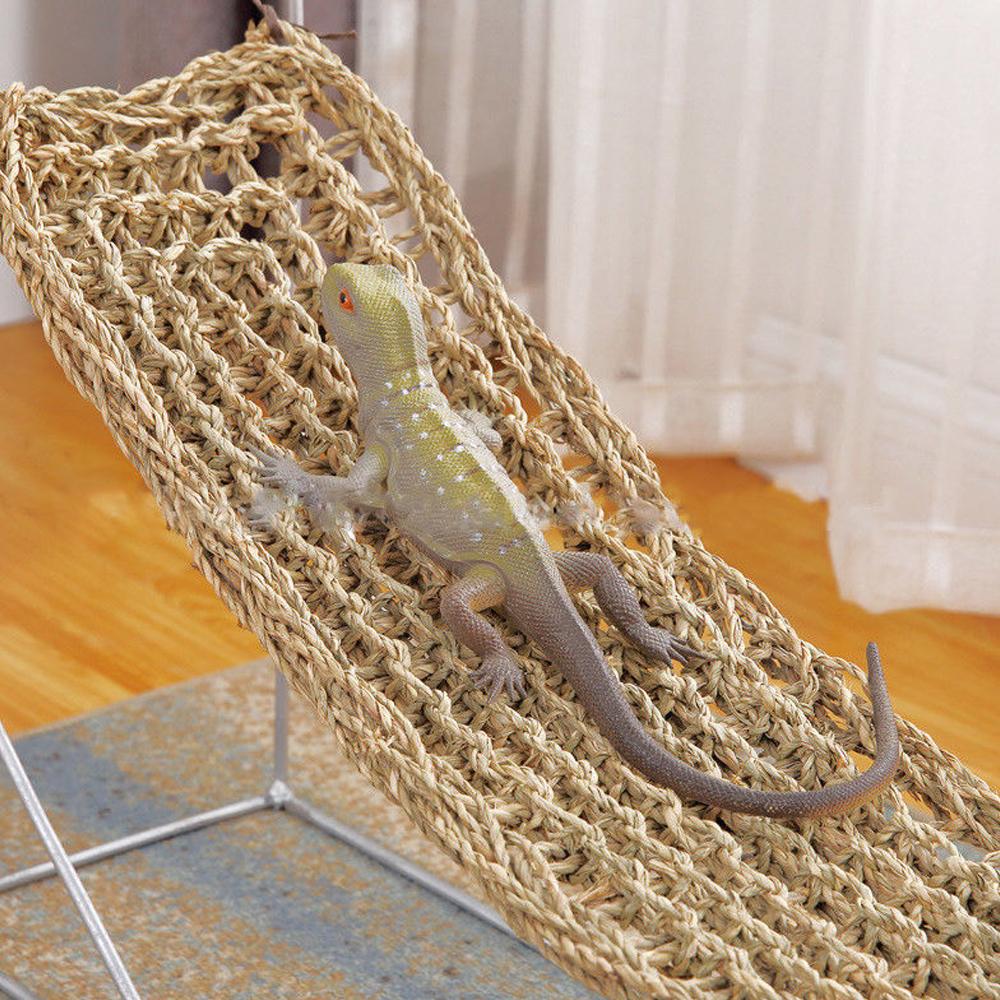 Tång ödla hängmatta gunga husdjur solstol reptil leksak hängande sängmatta små eremitkrabbor gecko sängmattor husdjur reptil tillbehör