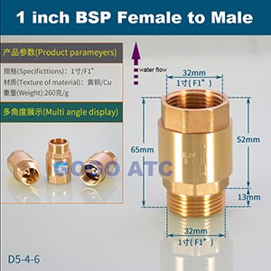 DN15/DN20/DN25 1/2 3/4 1 inch brass In-Line spring vertical check valve for Water meter female male one way valve: D5-4-6
