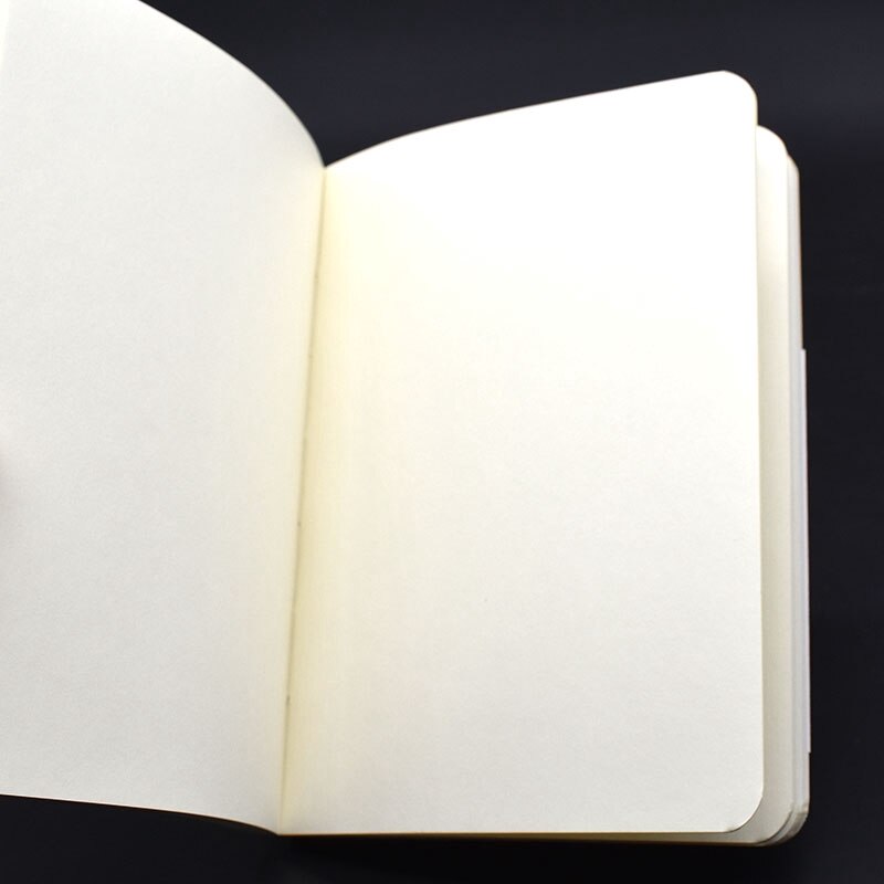 Standard journal A6 size thick paper cover, 160 pages, lined/blank/square, 100 GSM Diary, handmade bullet planner, sketchbook: Blank