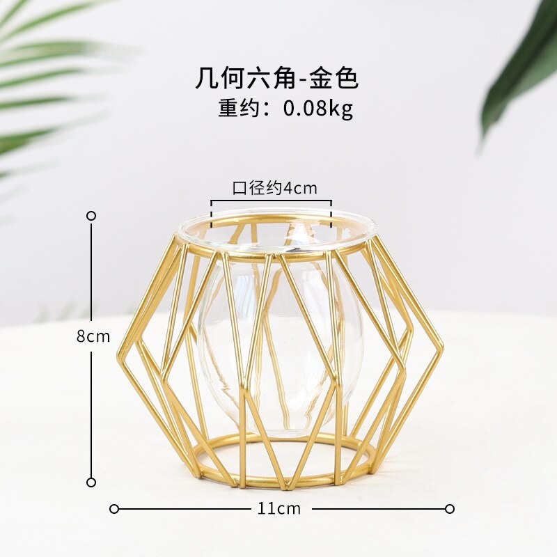 Soportes de Metal para plantas de aire, contenedores de arte del hierro de estilo moderno para cultivo de flores y agua: A