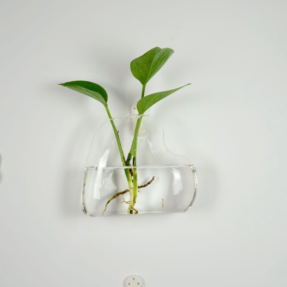 6 former diy klar hängande glasvas blomväxter terrariumbehållare vas mikro landskap bröllopsdekoration: C