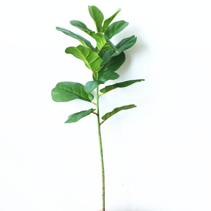 Film Lamination Plastic Simulation Plant Ficus Lyrata Single Stem Green Handfeel Plant Photography Shooting Props: Short Rod Single Bottle Small Ficus Lyrata