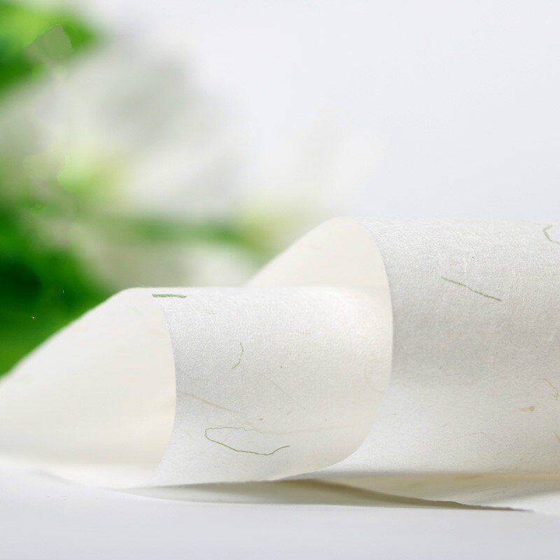 20szt 20*30CM chińnarty styl starożytny rymowanek papiernicze papier robić malowania ręcznie wykonana roślina Yunlong papier papier ryżowy papier firmowy: D