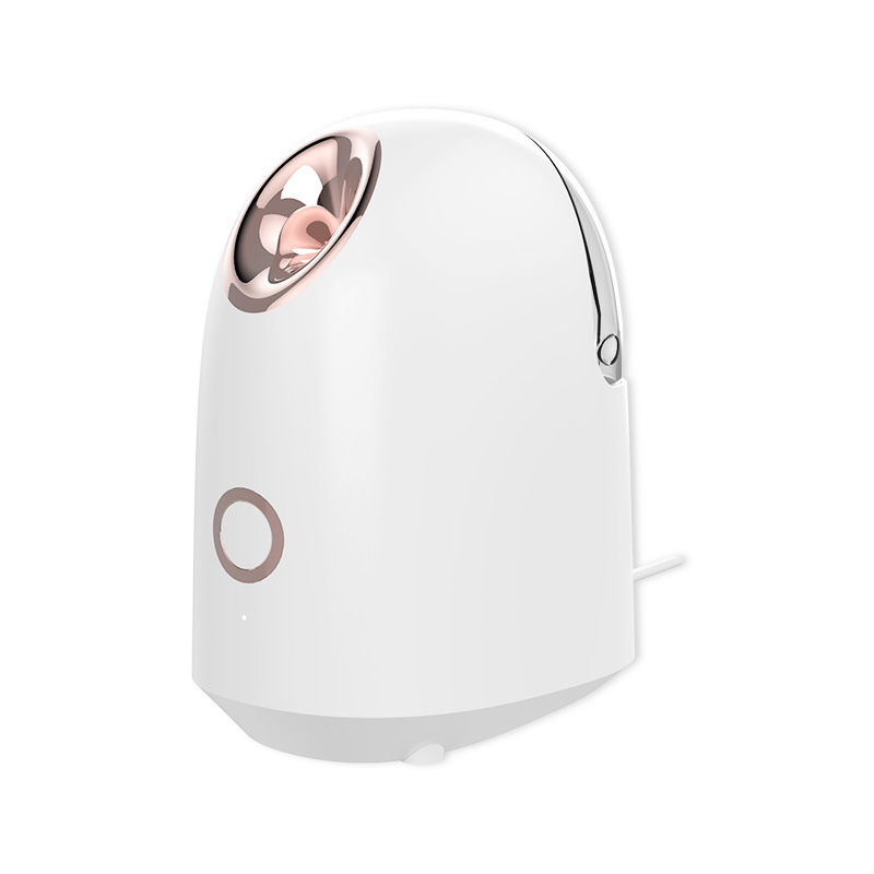 Profession elle nano ionische warme Nebel Home Face Sauna tragbare Luftbe feuchter Maschine tief sauber straffen die Haut täglich Feuchtigkeit