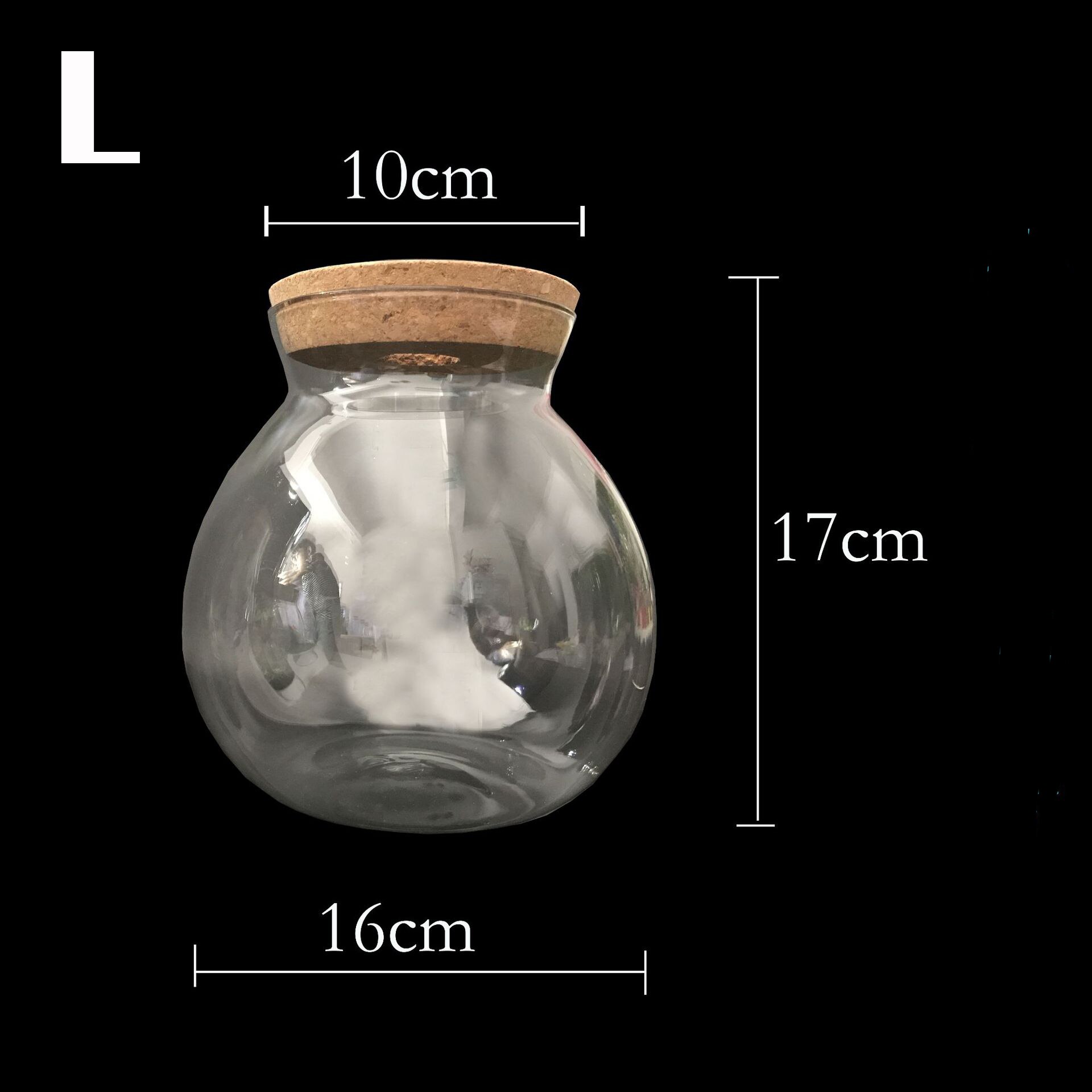 Botella ecológica portátil para acuario, Cubo de Micro paisaje, pecera de escritorio para oficina, vidrio ecológico: L