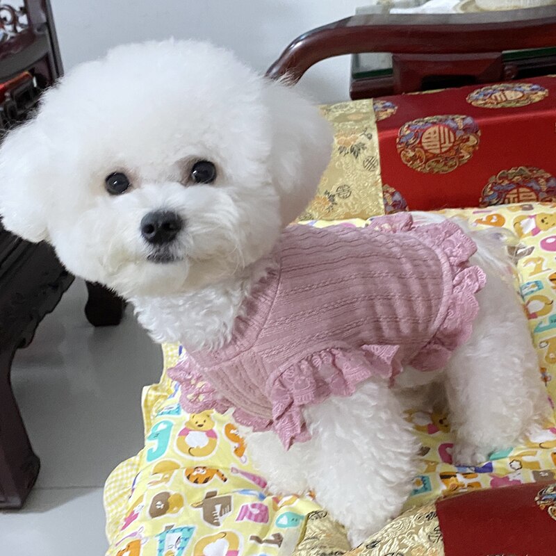 Falda corta de verano para perro y gato, ropa para cachorro, Yorkshire, Chihuahua, Pomerania, disfraz de Bichon, Schnauzer
