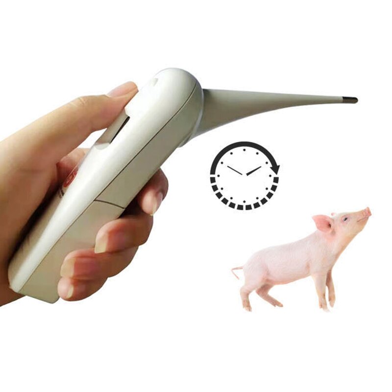 Pet Electronic Digital Thermometer Fast Rectal Thermometer for Dogs Pig Horse