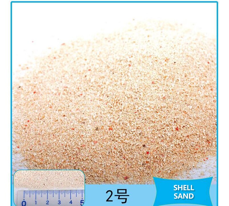 Small Decorative Ornamental River Pebbles Rocks for Fresh Water Fish Animal Plant Aquariums, Landscaping, Home Garden Decor etc: Shell Sand