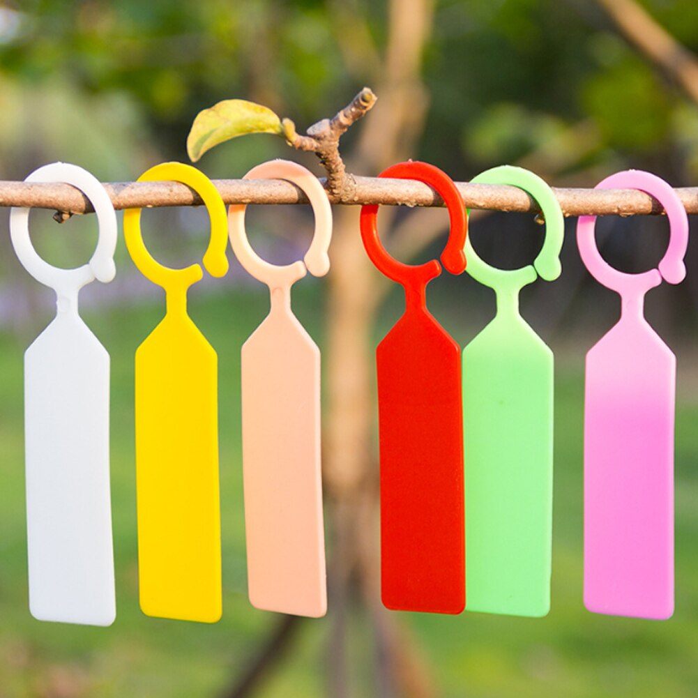 100Pcs Plant label Random Color Ring Plastic Hangi... – Grandado