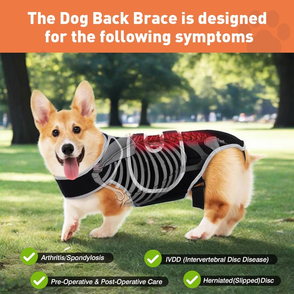 ComfortFlex Dog Back Support Brace – Relieves IVDD,Hip Dysplasia, Arthritis & Spinal Injuries – Breathable Spinal Brace