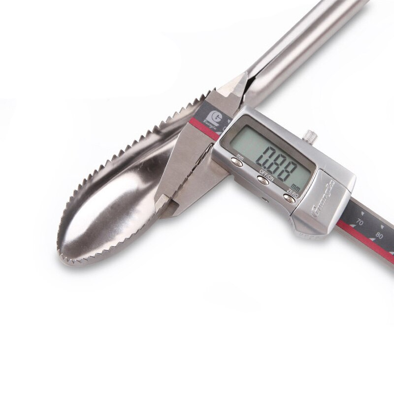 Couteau grattoir à écailles de poisson | En acier inoxydable, outils de nettoyage du poisson, brosse de nettoyage de la peau, outils de cuisine
