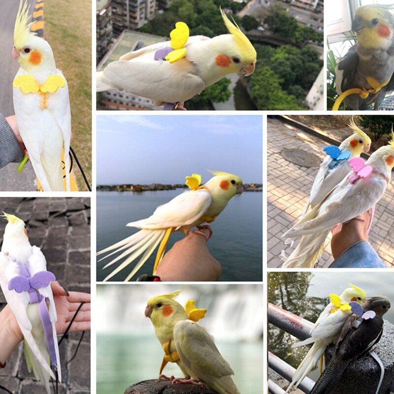 Pioen Xuanfeng Weinig Zon Papegaai Vliegende Vliegende Touw Wandelen Vogel Riem Touw Ultra Light Out Sleepkabel