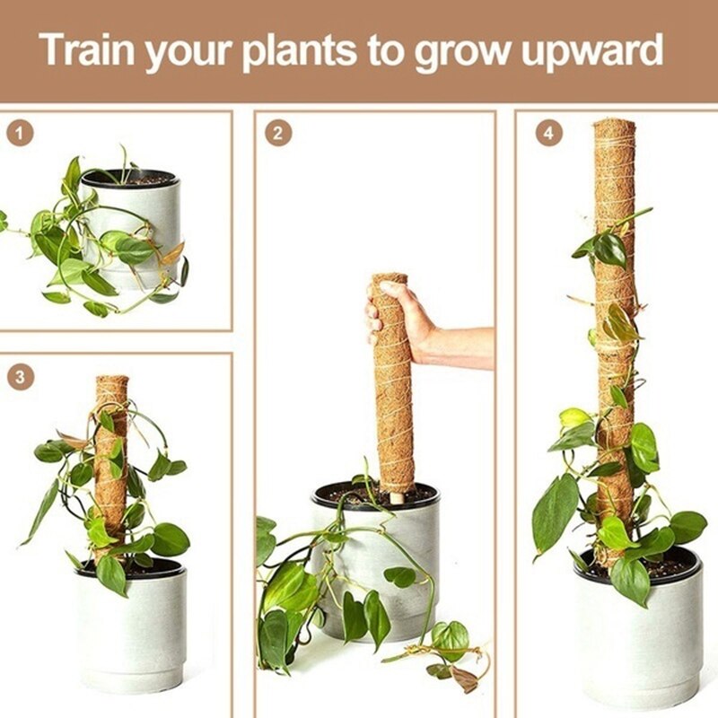 4Pc30CM Plant Climbing Coconut Shell Column Safe Gardening Climbing Plant Vines Climbing Frame