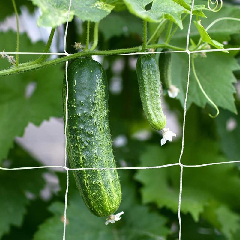 Tuinlatwerk Netting Heavy Duty Nylon Plant Gaas Voor Tuinen Gaas Tent Plant Ondersteuning Net Tuinnet Accessoires