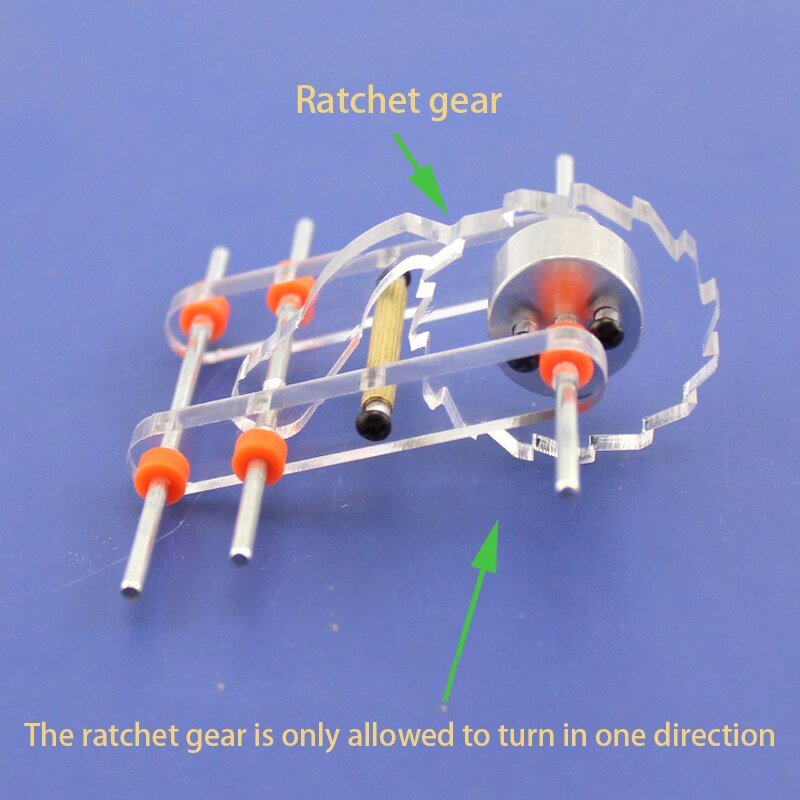 Ispessito a cricchetto set (trasparente) ratchet attrezzi cricchetto dispositivo FAI DA TE accessori modello ingranaggio di one-way