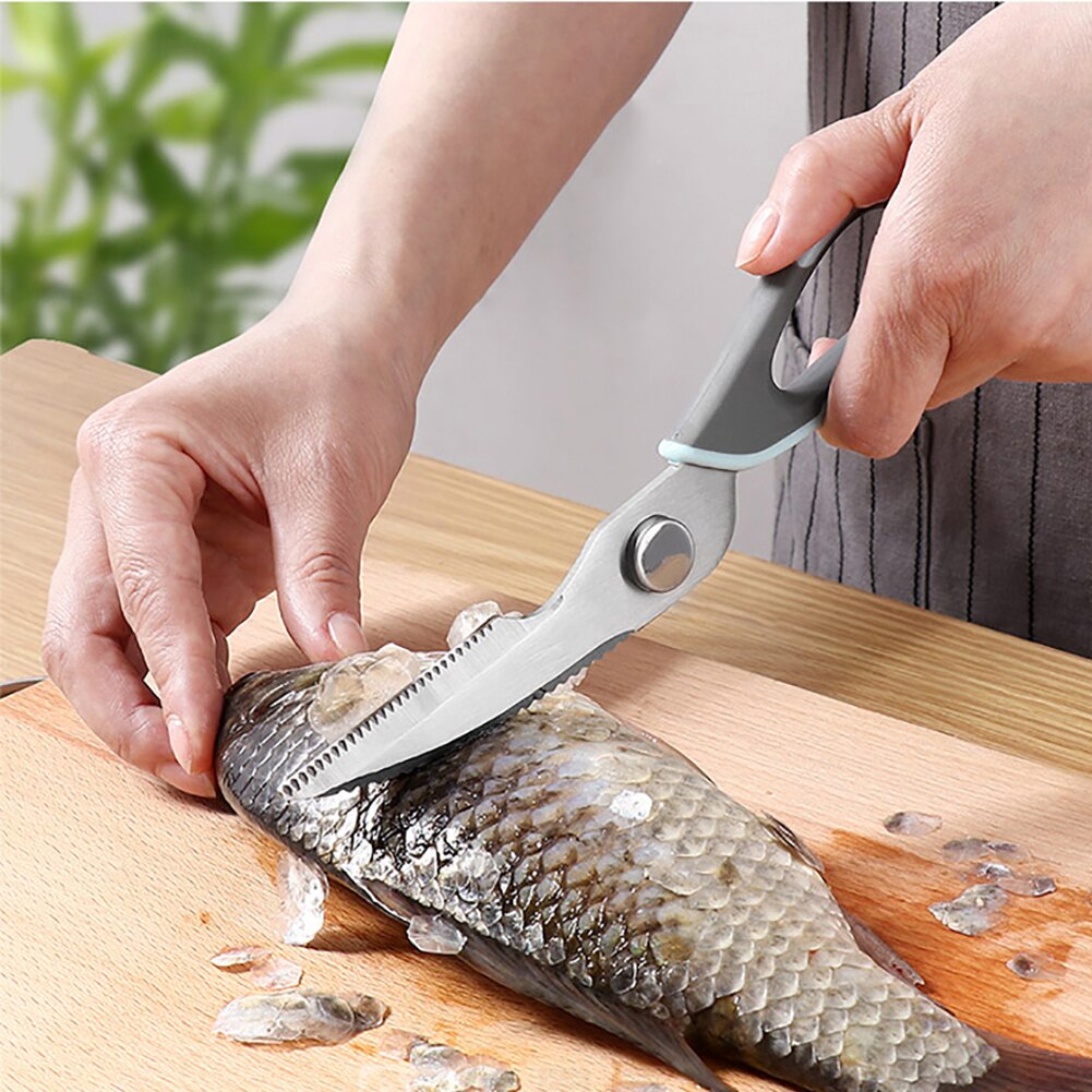 Ciseaux De Pêche 10'' En Acier Inoxydable Avec Tondeuse à Aileron Et