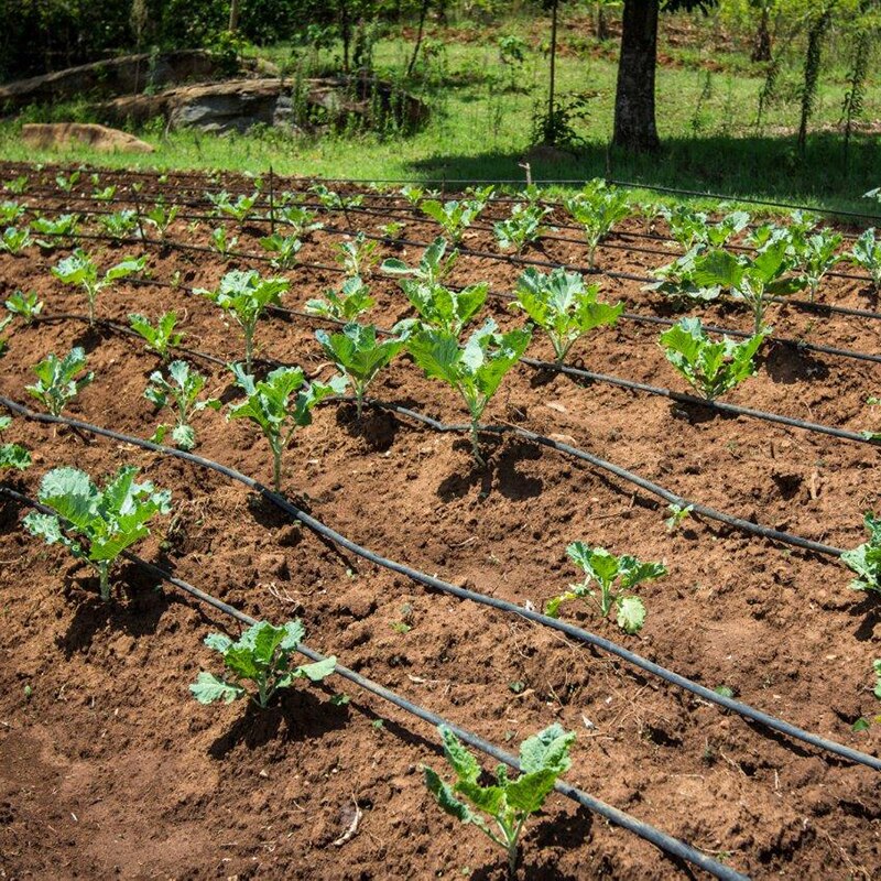 10/20m PVC Watering Tubing Hose Pipe 4/7mm Garden Drip Irrigation System Watering Systems for Plants Garden Yard Lawn Greenhouse