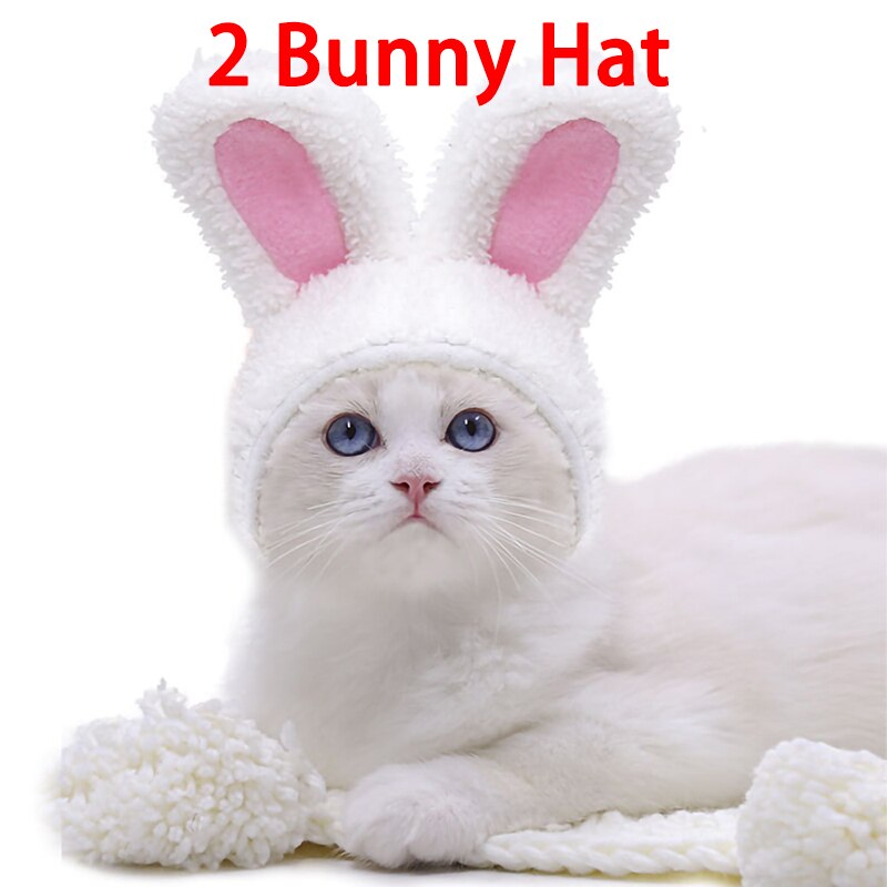 Cat Hat Bunny Rabbit Ears Headwear Kitty Cosplay C... – Vicedeal