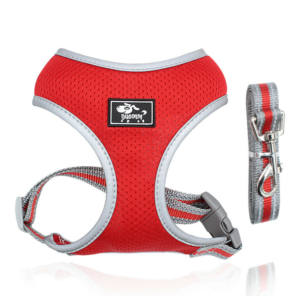 Soft Mesh Dog Harness and Lead Set Breathable Reflective Walking Vest Dog Accessories for Small Dogs Dog Leash Yorkshire Terrier