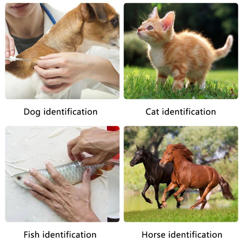 Dyre kæledyr certifikat håndholdt kortlæser id chip scanner dyreidentitet tag læsere til hund katte hest kæledyr forsyninger  c42