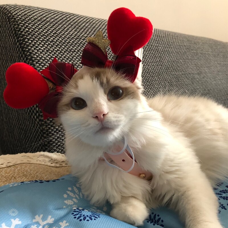 Tocado de gato Manual para el Día de San Valentín, conjunto de cabeza de perro, accesorios para el cabello de mascotas, horquilla, accesorios para gatos, suministros para mascotas