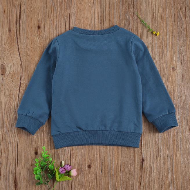 Sudaderas de manga larga con cuello redondo para niños y niñas, suéter informal con letras estampadas, abrigos, Tops