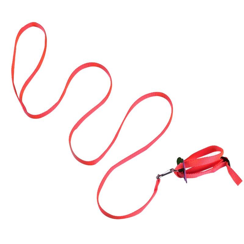 Zestaw uprząż i smycz chomika regulowane małe zwierzę smycz szczur świnka morska szynszyle uprząż liny akcesoria dla chomików: 3