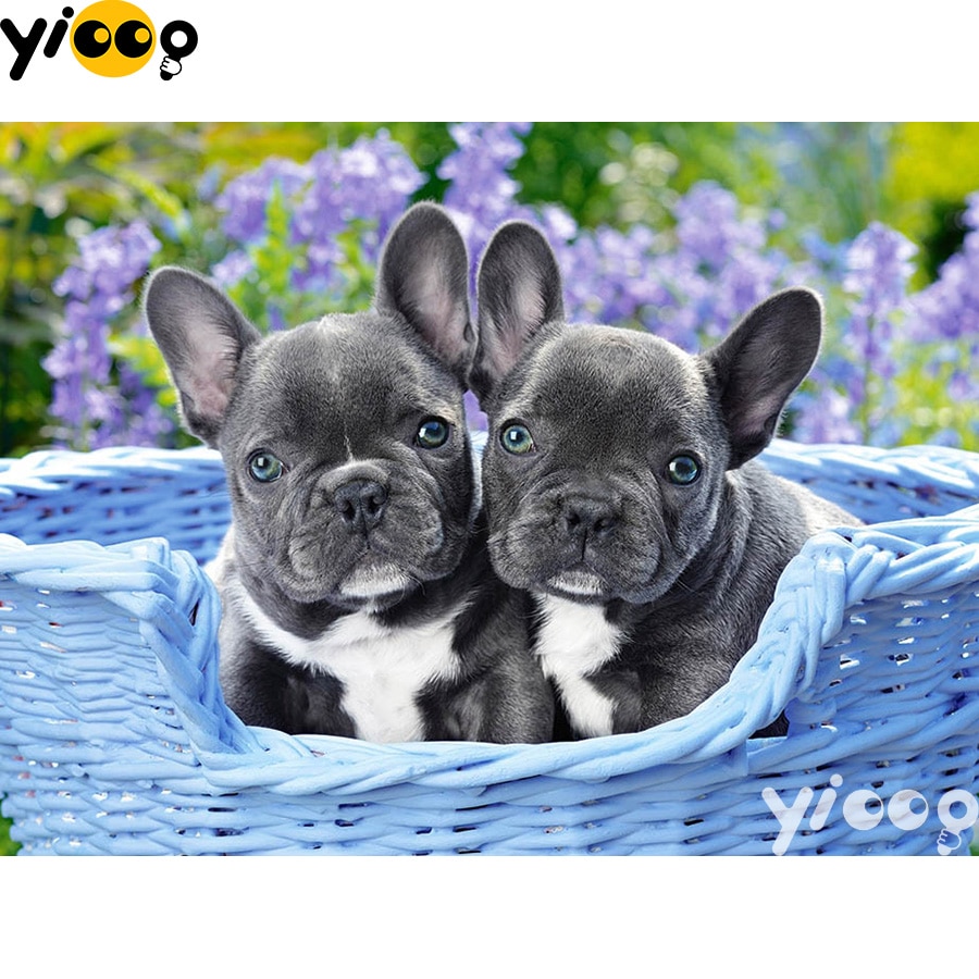 DIY Diamond Embroidery 5D Diamond Painting Cross Stitch French bulldog puppies Full Square Pictures Of Rhinestones Mosaic BX0170