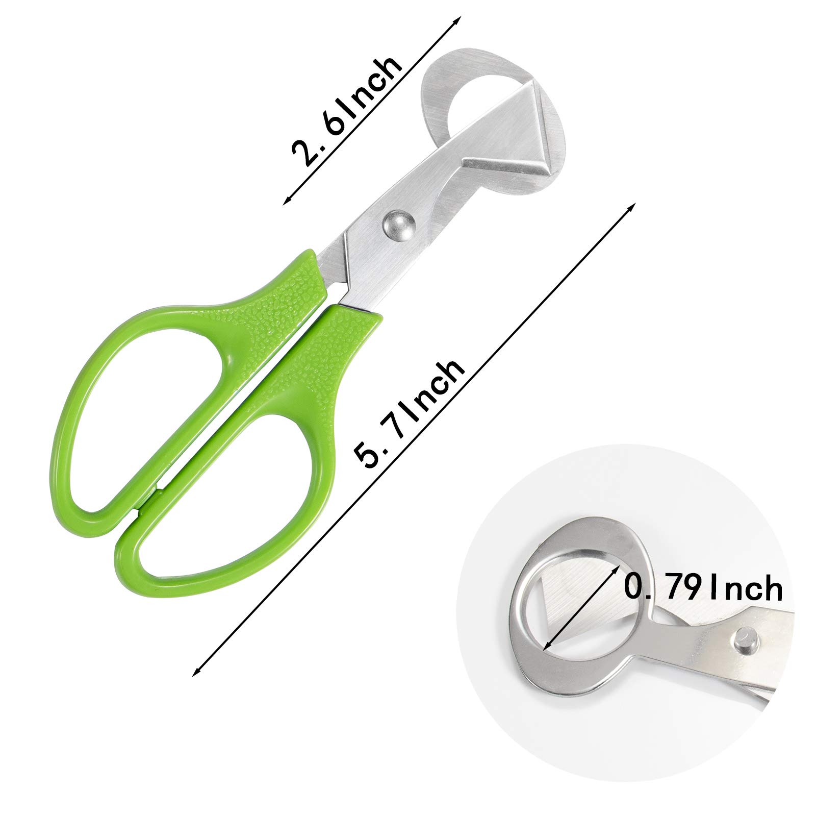 Kwarteleitje Schaar Metalen Cutter Shell Opener Roestvrijstalen Gekookt Ruwe Ei Scharen Keuken Gereedschap Accessoires Voor Vogel, Duif