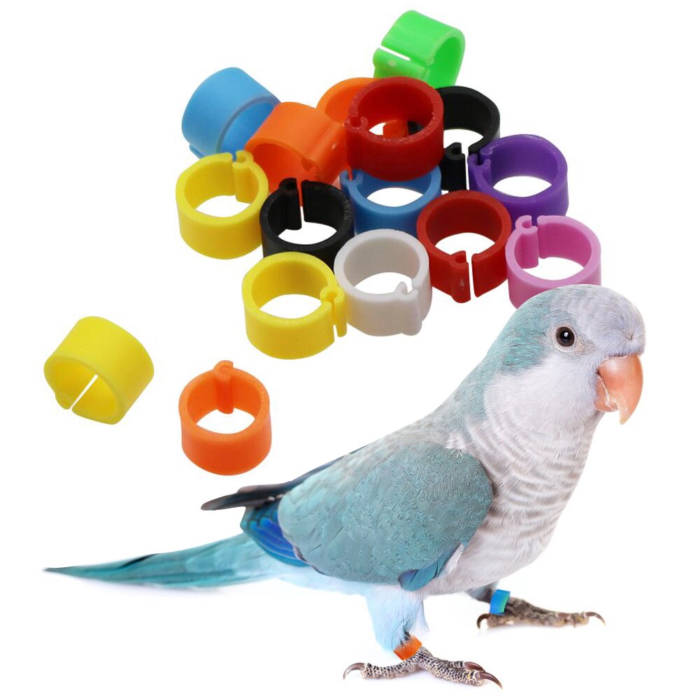 Bird Foot Ring Outdoor Flight Training Tool Plastic Clip Ring Pigeon Dove Quail Foot Ring Competition Identification Label