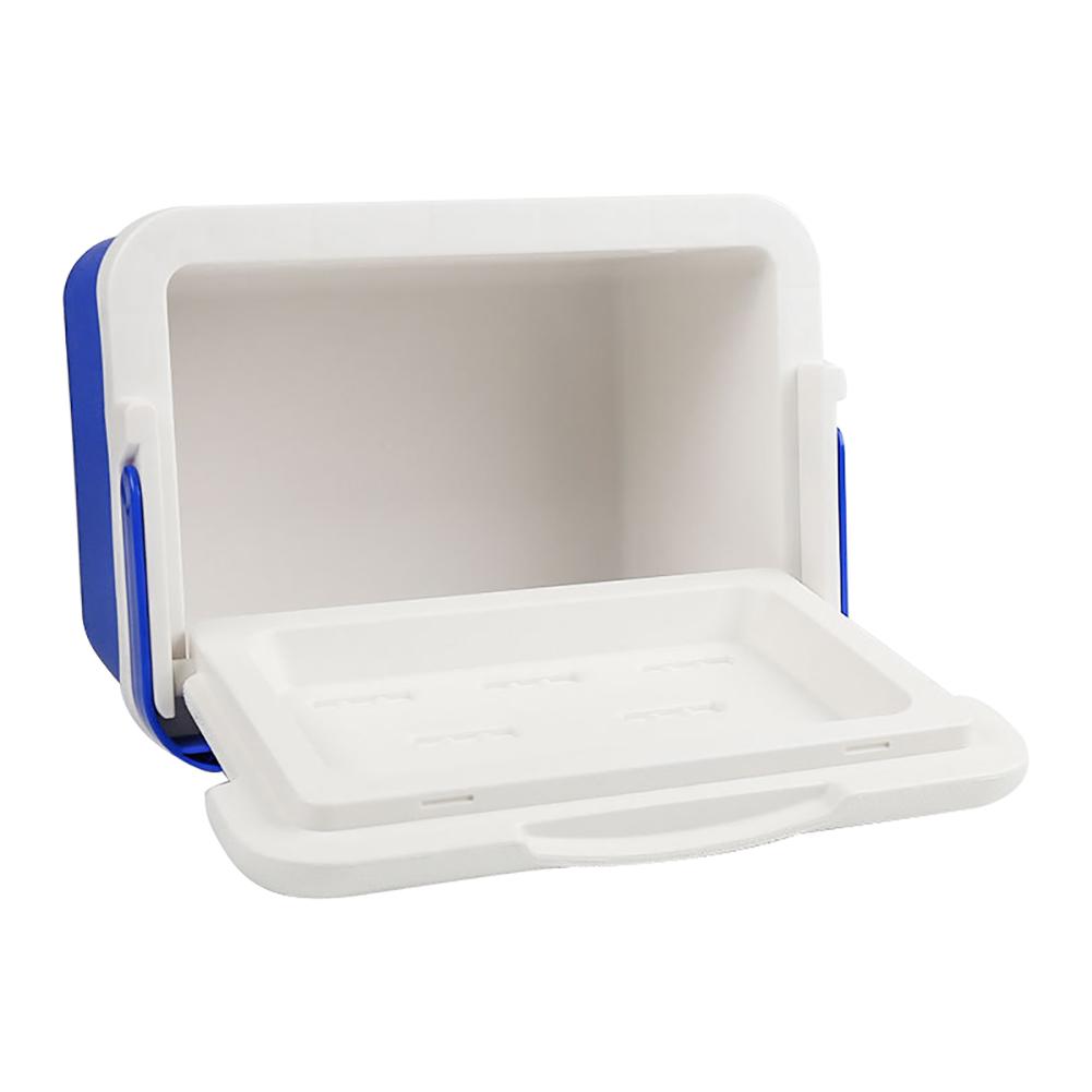 Cooler box 6L Cooler and Warmer for Car Home Portable Refrigerator Milk Food Insulated Carrier with Handle Car incubator