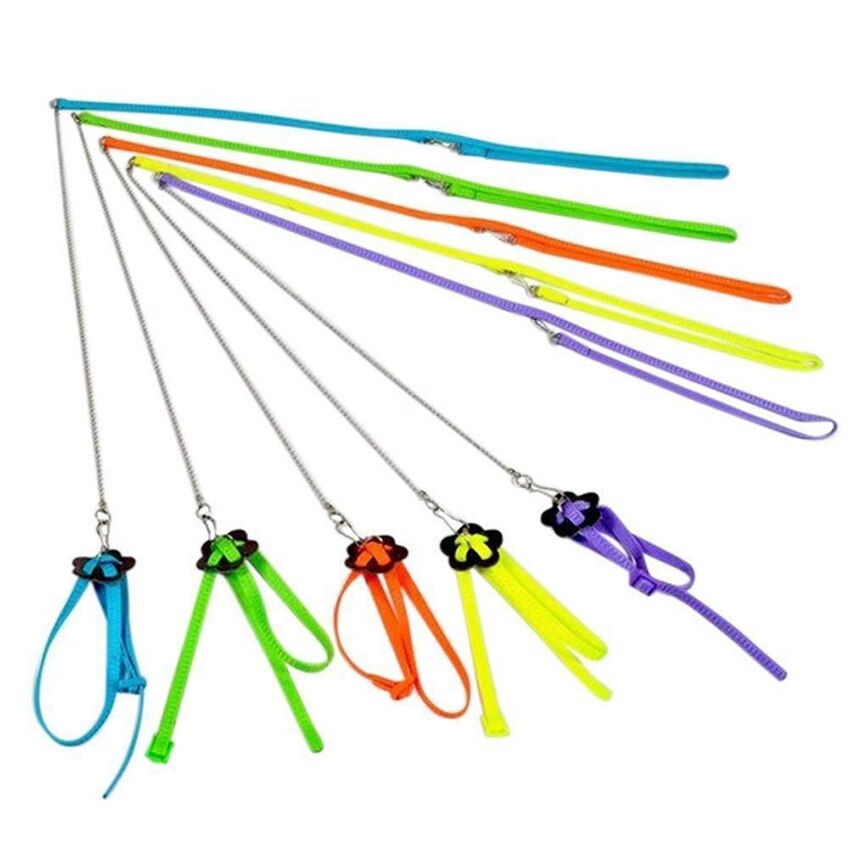 Arnés de pájaro para loro ajustable de 1,2 M, Correa Multicolor ligera suave de
